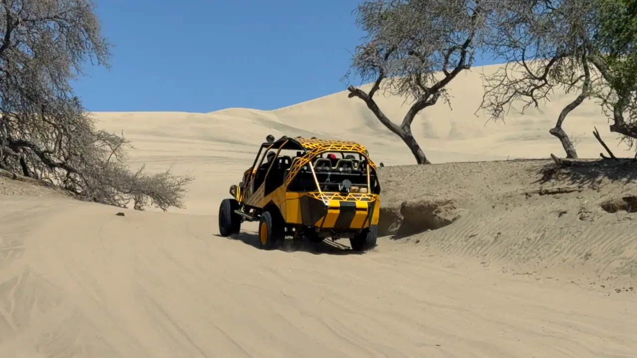 Full Day Paracas & Islas Ballestas